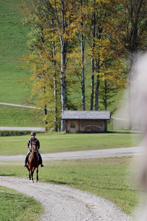 Gasthof Jagersberger Hollenstein an der Ybbs Luaran gambar